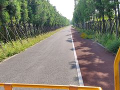 -上海长兴岛郊野公园