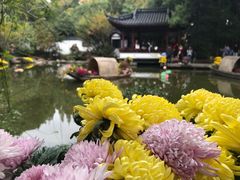 -汇龙潭