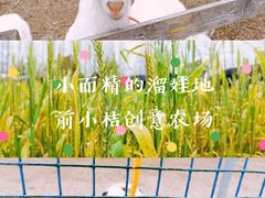 -前小桔亲子创意农场·草莓采摘·露营烧烤