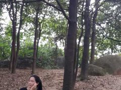 -火炉山森林公园