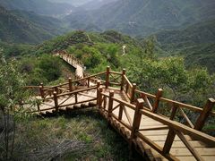 -大岭沟猕猴桃谷风景区
