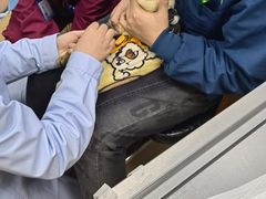 -瑞派·关忠动物医院·异宠专科·犬猫肿瘤·皮肤专科(望京店)