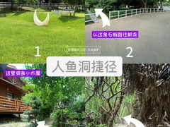 -杨梅坑