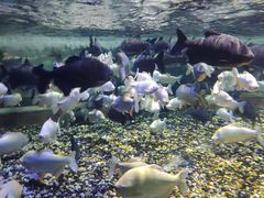 -成都浩海立方海洋公园