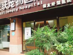 -派联宠物医院·24h·CT·异宠