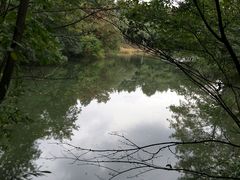 -白马涧龙池景区