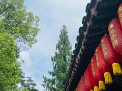 -龙华素斋(龙华路店)