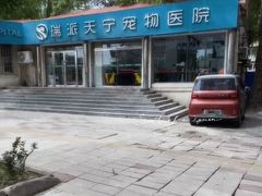 -瑞派天宁宠物医院·猫科·异宠中心