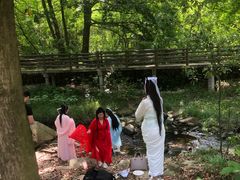 -木兰云雾山
