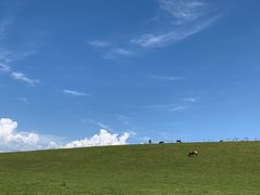 -新疆那拉提国家旅游度假区