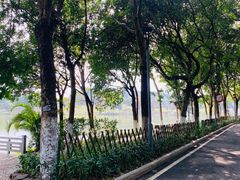 -东莞植物园
