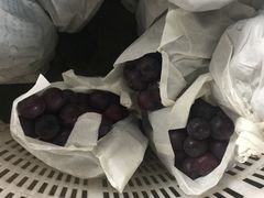 -马陆小张葡萄园农家乐