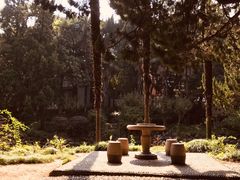 -叶家花园