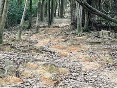 -火炉山森林公园