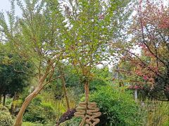 -武汉紫薇都市田园