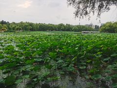 -长春市南湖公园