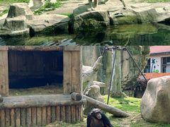 -上海野生动物园