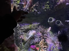 -太平洋海底世界