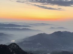 -万达广场(泰安泰山店)