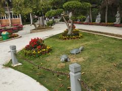 -揭东万竹园旅游景区