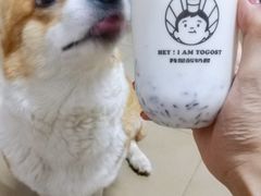 -我是酸奶君(壹方城店)