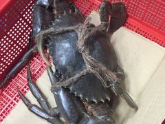 -龙海鲜螃蟹王(宏茂桥店)