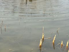-太阳宫公园