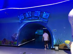 -泉城欧乐堡海洋极地世界