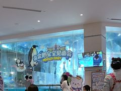 -帝企鹅自助餐厅•儿童岛•真企鹅(长隆企鹅酒店)