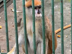 -秦皇岛野生动物园