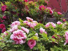 -北京市劳动人民文化宫(太庙)