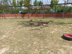 -南京金牛湖风景区