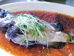 -森谷美食公园(杨行店)