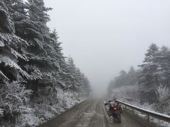 -五彩雪域藏餐馆