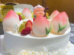 -维尔纳斯·生日蛋糕动物奶油冰淇淋蛋糕(人大店)