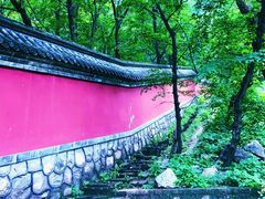 -阳台山自然风景区