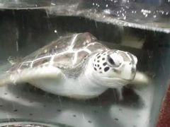 -青石桥市场北1-27号