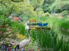 -上海共青森林公园