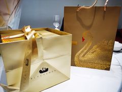 -BLACKSWAN黑天鹅(环球店)