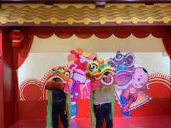 -中国宋庆龄青少年科技文化交流中心