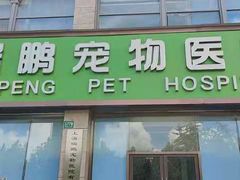 -瑞鹏宠物医院·内科·中兽医·骨科(苗圃店)