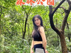 -三水森林公园