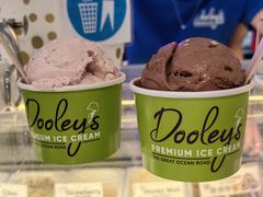 -Dooley's Premium Ice Cream