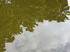 -重庆园博园