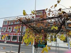 -北京龙庆四季香农家饭庄·灶台鱼·碳烤虹鳟鱼(龙庆峡店)