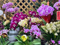 -双季花艺园艺市场(浦东店)