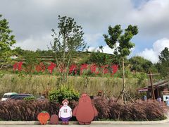 -军营村