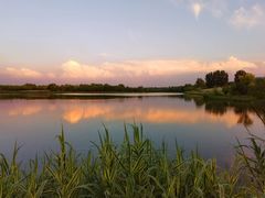 -东郊湿地公园