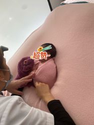 -西瓜庄园儿童摄影