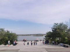 -盐城丹顶鹤湿地生态旅游区
